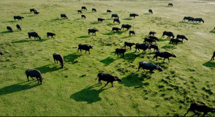 Lakes – Sources of Life