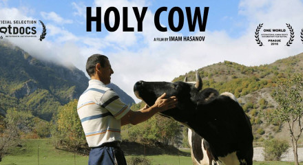 HOLY COW