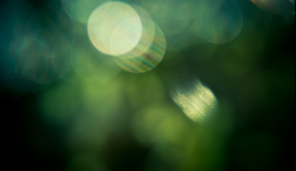 Grüne Bubbles | Spärische Bilder | ©ha11ok by Pixabay