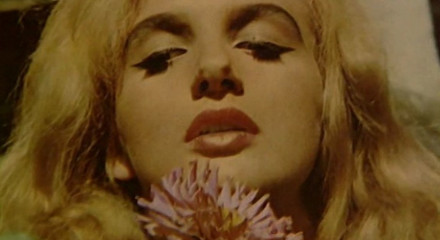 DIDN’T DO IT FOR LOVE