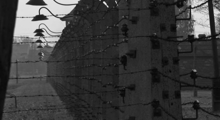 In Spite of Darkness. A Spiritual Encounter with Auschwitz.