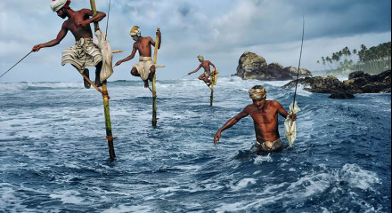 Ocean Grabbing – New Laws of the Sea