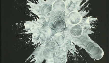 Solaris | ©2024, Margit Abele Solaris | ©2024, Margit Abele