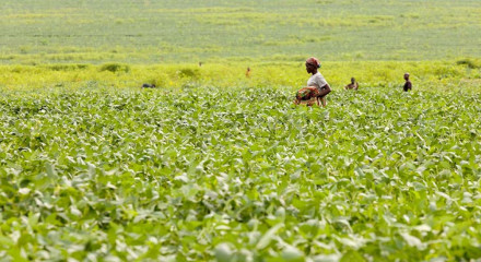 10 BILLION – WHAT WILL WE EAT TOMORROW?