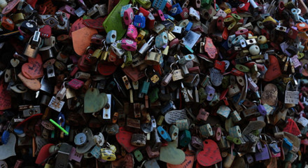 The Bitter Apple from the Tree