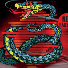 Die drei ??? und die singende Schlange -