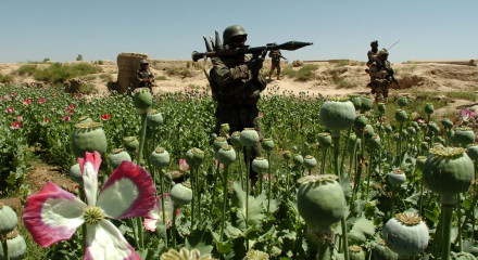 Ghosts of Afghanistan