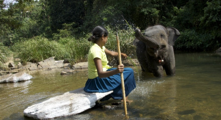 CHANDANI - THE DAUGHTER OF THE ELEPHANT WHISPERER
