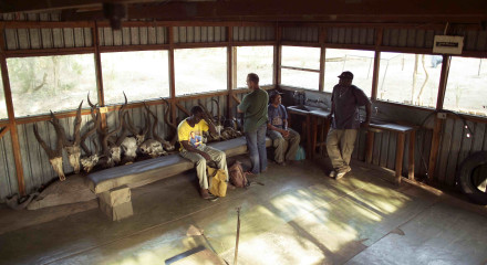 My Heart of Darkness