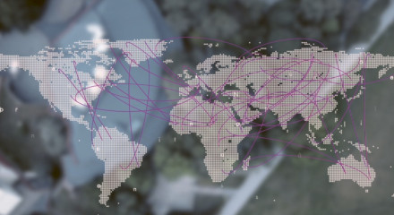 The Charm of the Swarm – World Wide Wikipedia