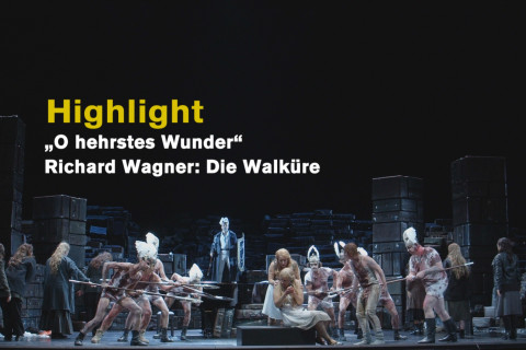 Lise Davidsen und Nina Stemme singen „O hehrstes Wunder“ aus DIE WALKÜRE Lise Davidsen und Nina Stemme singen „O hehrstes Wunder“ aus DIE WALKÜRE