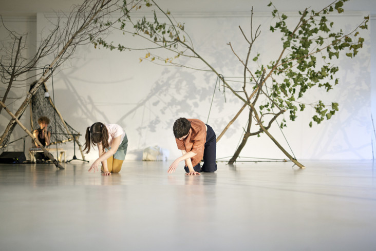 © Vera Drebusch
