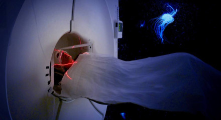 AWARE - Glimpses of Consciousness