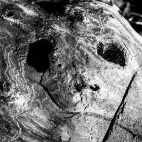 artSPACE - Nichts als Treibholz !?!! – NaturSkulpturen -