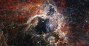 Das James Webb Weltraumteleskop: Erste Ergebnisse // NASA, ESA, CSA, and STScI, frei verwendbar unter Creative Commons Attribution 4.0 International license