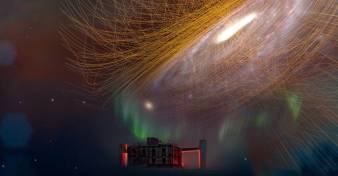 Unser exotisches Universum // (c) Meike Weisner Unser exotisches Universum // (c) Meike Weisner