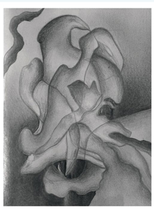 animalisches (Serie ‚Im Wirbel der Zeichen‘, # 13) |  Marina Linares/VG Bildkunst 2024 animalisches (Serie ‚Im Wirbel der Zeichen‘, # 13)