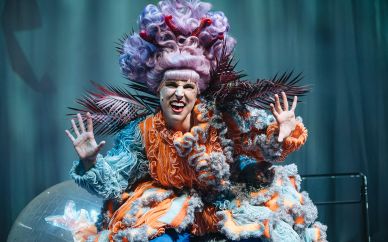 Octopus lady Octopus lady