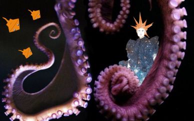 Octopus lady Octopus lady