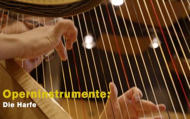 Digitale Instrumentenvorstellung: Die Harfe